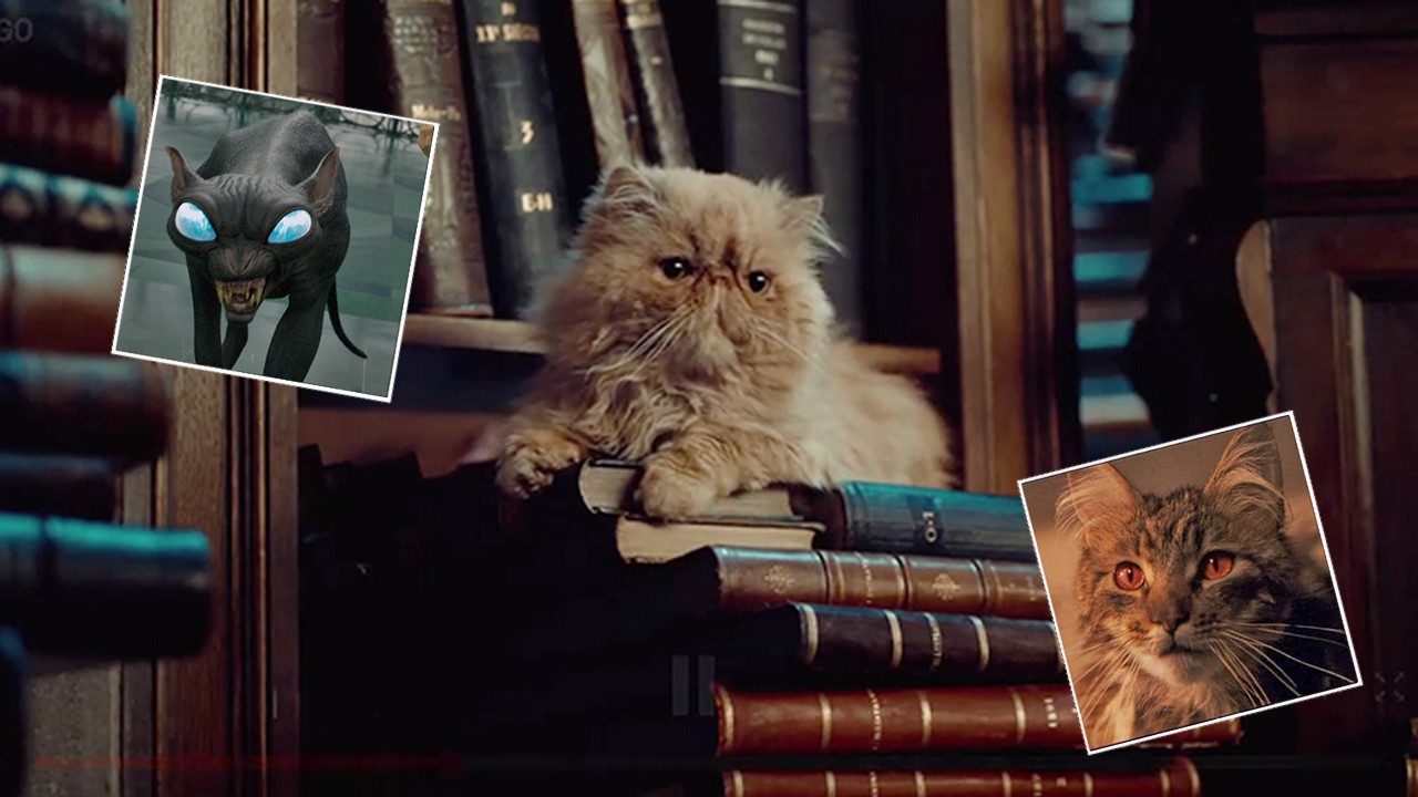 Les chats dominent-ils le monde des sorciers ? Les chats dominent-ils le monde des sorciers ?