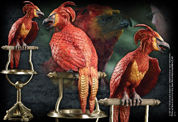 Fawkes the Phoenix Fawkes the Phoenix