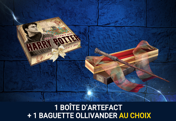 Pack boite d’artefact + baguette Ollivander Pack boite d’artefact + baguette Ollivander