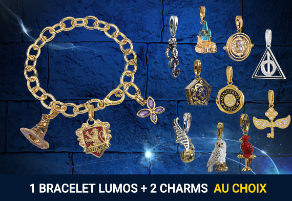 Pack Charm bracelet + 2 charms Pack Charm bracelet + 2 charms