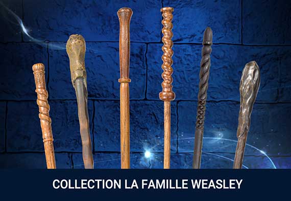 Collection Weasley Family Collection Weasley Family
